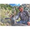 Image 1 : 701 #SLA-01 Coues Deer Hunt for Two Hunters (with Free Mountain Lion Bonus),  Arizona