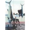 Image 1 : 703 #SLA-03 Six-day All-Inclusive Fish Slamming Safari, Mexico