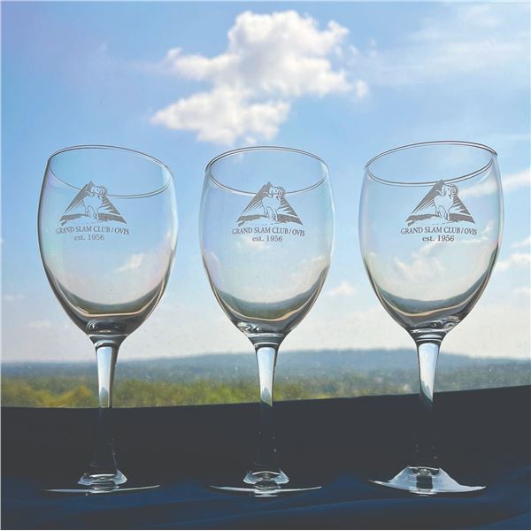 704 #SLA-04 GSCO Wine Glasses (Set of 12) - #1
