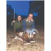 Image 4 : 706 #SLA-06 Iberian Mouflon Sheep, Iberian Red Deer, or Fallow Deer Hunt  for ONE or TWO Hunters, Sp