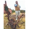 Image 6 : 706 #SLA-06 Iberian Mouflon Sheep, Iberian Red Deer, or Fallow Deer Hunt  for ONE or TWO Hunters, Sp