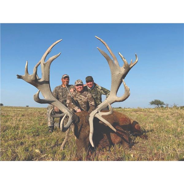 709 #SLA-09 Northern Patagonia Hunt for FOUR Hunters, Argentina