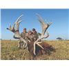 Image 1 : 709 #SLA-09 Northern Patagonia Hunt for FOUR Hunters, Argentina