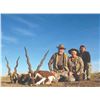 Image 4 : 709 #SLA-09 Northern Patagonia Hunt for FOUR Hunters, Argentina