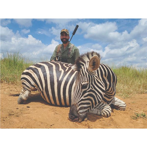 712 #SLA-12 Plains Game Safari for FOUR Hunters, South Africa