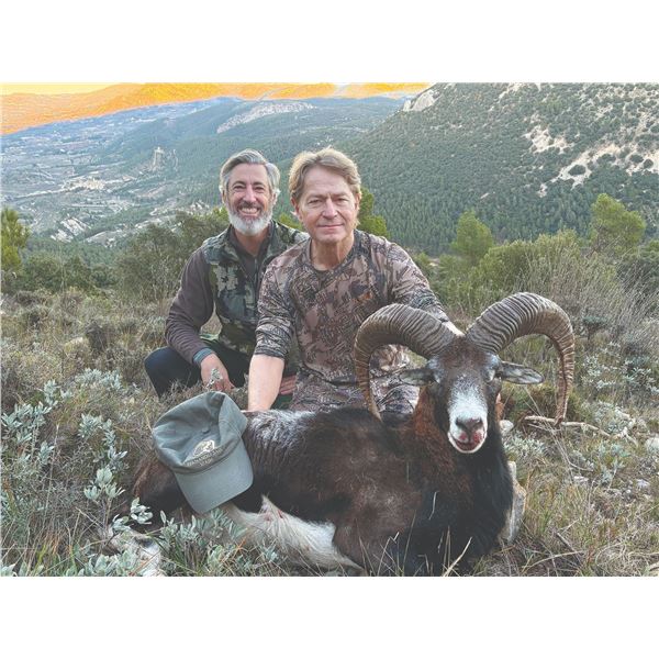 718 #SLA-18 European Mouflon Hunt, Spain