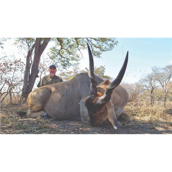 721 #SLA-21 Livingston Eland Hunt, Mozambique