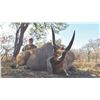 Image 1 : 721 #SLA-21 Livingston Eland Hunt, Mozambique