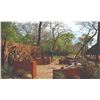 Image 6 : 721 #SLA-21 Livingston Eland Hunt, Mozambique