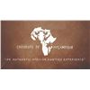Image 7 : 721 #SLA-21 Livingston Eland Hunt, Mozambique