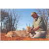 Image 2 : 730 #SLA-30 Plains Game Hunt for TWO Hunters, South Africa