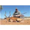 Image 9 : 730 #SLA-30 Plains Game Hunt for TWO Hunters, South Africa