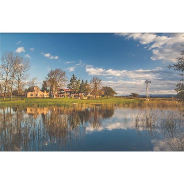 731 #SLA-31 High Volume Dove Shooting for Six Hunters, Argentina