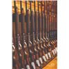 Image 3 : 731 #SLA-31 High Volume Dove Shooting for Six Hunters, Argentina