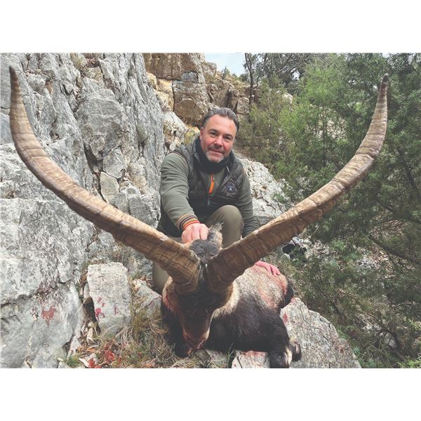 734 #SLA-34 Beceite Ibex Hunt for TWO Hunters,  Spain