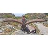 Image 2 : 734 #SLA-34 Beceite Ibex Hunt for TWO Hunters,  Spain