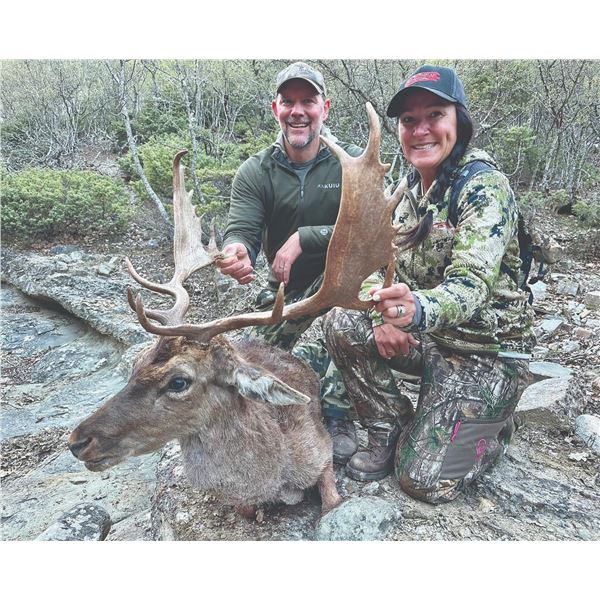 742 #SLA-42 Roe Deer, Golden Jackal and Fallow Deer or Wild Boar, Macedonia