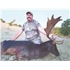 Image 2 : 742 #SLA-42 Roe Deer, Golden Jackal and Fallow Deer or Wild Boar, Macedonia