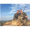 Image 4 : 742 #SLA-42 Roe Deer, Golden Jackal and Fallow Deer or Wild Boar, Macedonia