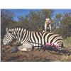 Image 10 : 743 #SLA-43 15 Animal Plains Game Hunt for Two, South Africa