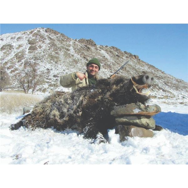 744 #SLA-44 Hunt Iran’s Prehistoric Beasts – Wild Boar Hunt, Iran