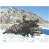 744 #SLA-44 Hunt Iran’s Prehistoric Beasts – Wild Boar Hunt, Iran
