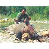 Image 3 : 744 #SLA-44 Hunt Iran’s Prehistoric Beasts – Wild Boar Hunt, Iran