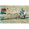 Image 5 : 744 #SLA-44 Hunt Iran’s Prehistoric Beasts – Wild Boar Hunt, Iran