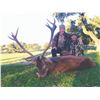 747 #SLA-47 Red Stag Hunt, Spain