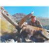 Image 2 : 747 #SLA-47 Red Stag Hunt, Spain