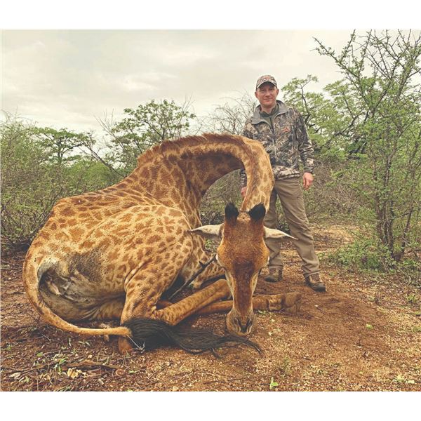 748 #SLA-48 Three-Day Giraffe Hunt, South Africa