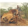 748 #SLA-48 Three-Day Giraffe Hunt, South Africa