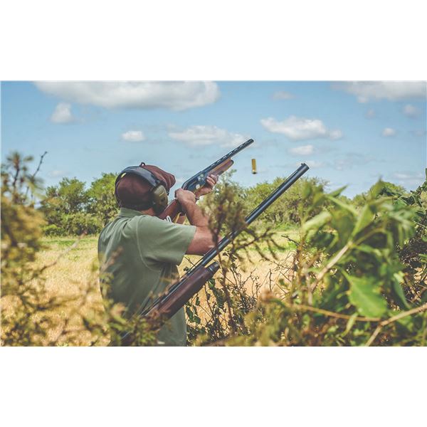 754 #SLA-54 Dove Hunt for FOUR, Argentina