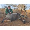 Image 6 : 761 #SLA-61 Five-Day South Africa Free-Range Hunt for TWO Hunters