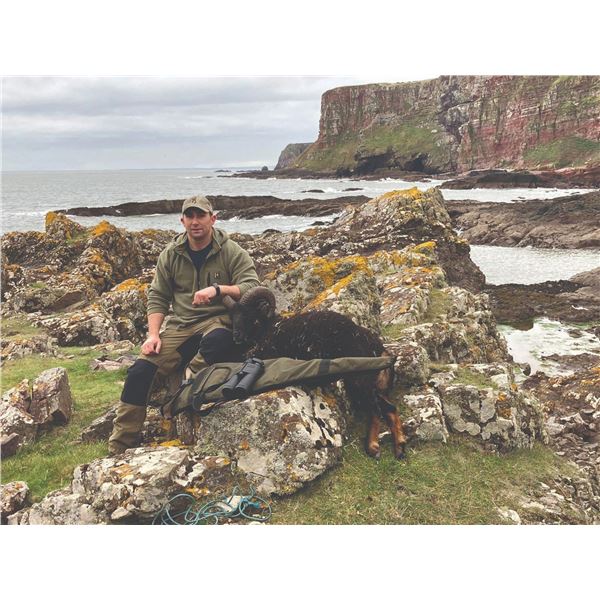 765 #SLA-65 Soay Sheep Hunt, Scotland