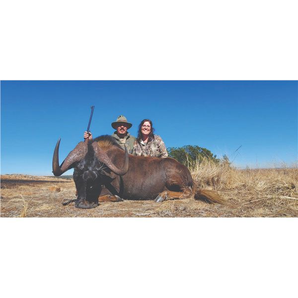 771 #SLA-71 Three-Day Black Wildebeest & Blesbuck Hunt, South Africa