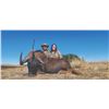 Image 1 : 771 #SLA-71 Three-Day Black Wildebeest & Blesbuck Hunt, South Africa