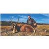 Image 2 : 771 #SLA-71 Three-Day Black Wildebeest & Blesbuck Hunt, South Africa