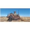 Image 3 : 771 #SLA-71 Three-Day Black Wildebeest & Blesbuck Hunt, South Africa