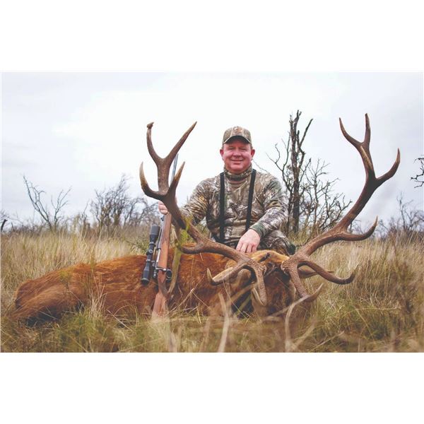777 #SLA-77 Red Stag Hunt for Two Hunters, Argentina