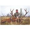 Image 1 : 777 #SLA-77 Red Stag Hunt for Two Hunters, Argentina