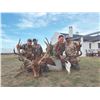 Image 2 : 777 #SLA-77 Red Stag Hunt for Two Hunters, Argentina