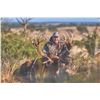 Image 3 : 777 #SLA-77 Red Stag Hunt for Two Hunters, Argentina