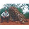 Image 5 : 784 #SLA-84 Buffalo and Giraffe Hunt, South Africa