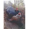 Image 6 : 784 #SLA-84 Buffalo and Giraffe Hunt, South Africa