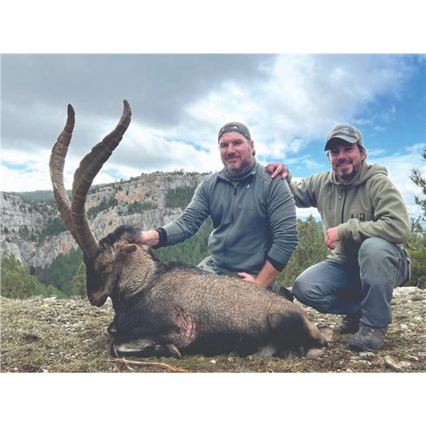 788 #SLA-88 Five-Day Big Game Hunt for Two Hunters & Two Non-Hunters, Spain