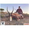 Image 2 : 789 #SLA-89 15 Animal Plains Game Hunt for Two, South Africa