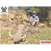Image 8 : 789 #SLA-89 15 Animal Plains Game Hunt for Two, South Africa
