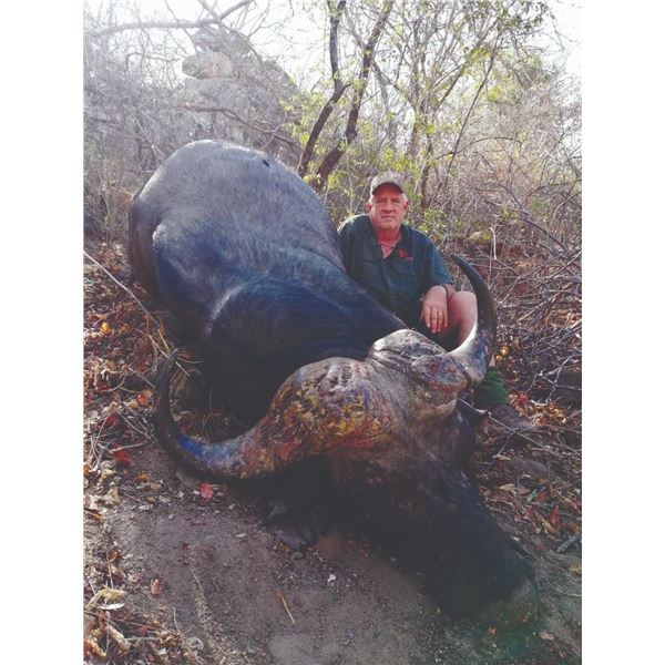 795 #SLA-95 Giraffe Hunt, South Africa