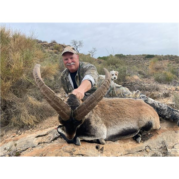 798 #SLA-98 Southeastern Ibex Hunt, Spain
